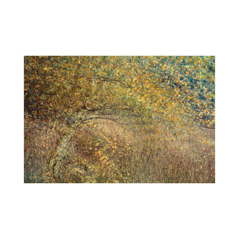 Motion Tree by Anton Van Dongen - Wrapped Canvas Painting, 30.48 cm H x 45.72 cm W