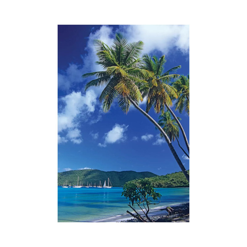 Palm Trees at Maho Bay, Virgin Islands 1 Piece Wall Art on Canvas, 20.32 cm H x 30.48 cm W, Wrapped Canvas