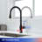 Rainlex Pull Down Kitchen Faucet-100933675