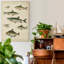 Reproduction d’art sur toile tendue « ichthyology IV »-1013694616