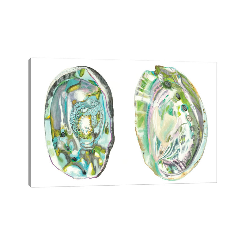 Abalone Shells II by Naomi McCavitt - Wrapped Canvas Print, 30.48cm H x 45.72cm W x 1.91cm D