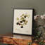 «Vintage Floral Print XLIV» sur papier-446485050-446485051