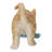 Kitten Mopping the Floor