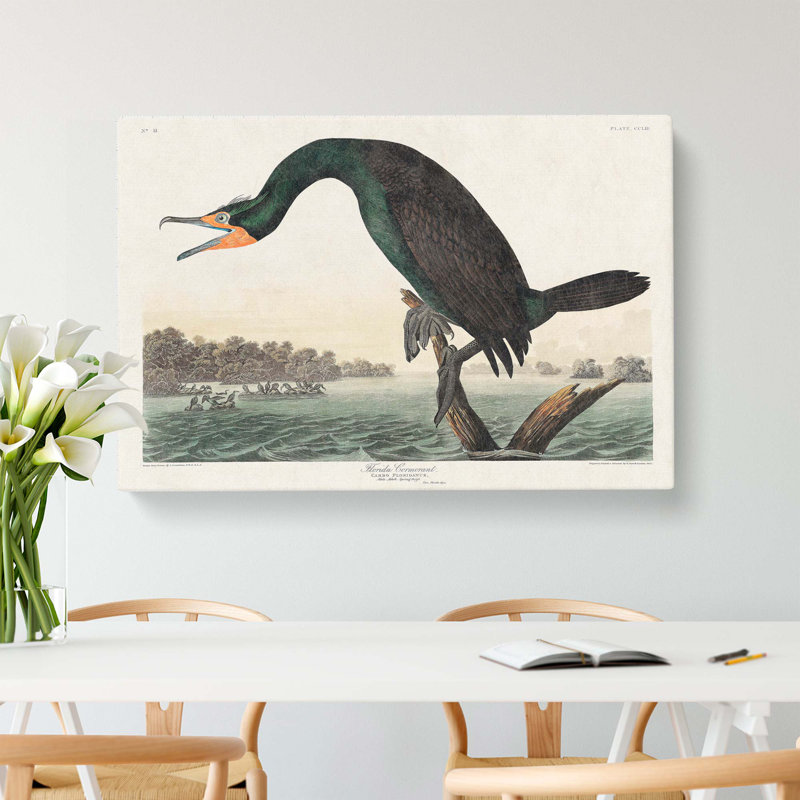 Florida Cormorant Bird - Wrapped Canvas Print, 35cm H x 50cm W x 3cm D