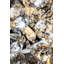 Flush Mount
