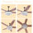 52 Inch Modern & Luxurious Gold Ceiling Fan With Crystal Ball And Remote Control, For Living, Dining, Kitchen Chandelier