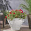 Jardinière d'extérieur