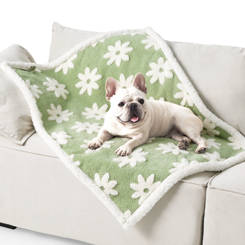Couverture pour chien et chat Lesure, M (l 40 po x P 30 po), Nuage bleu clair