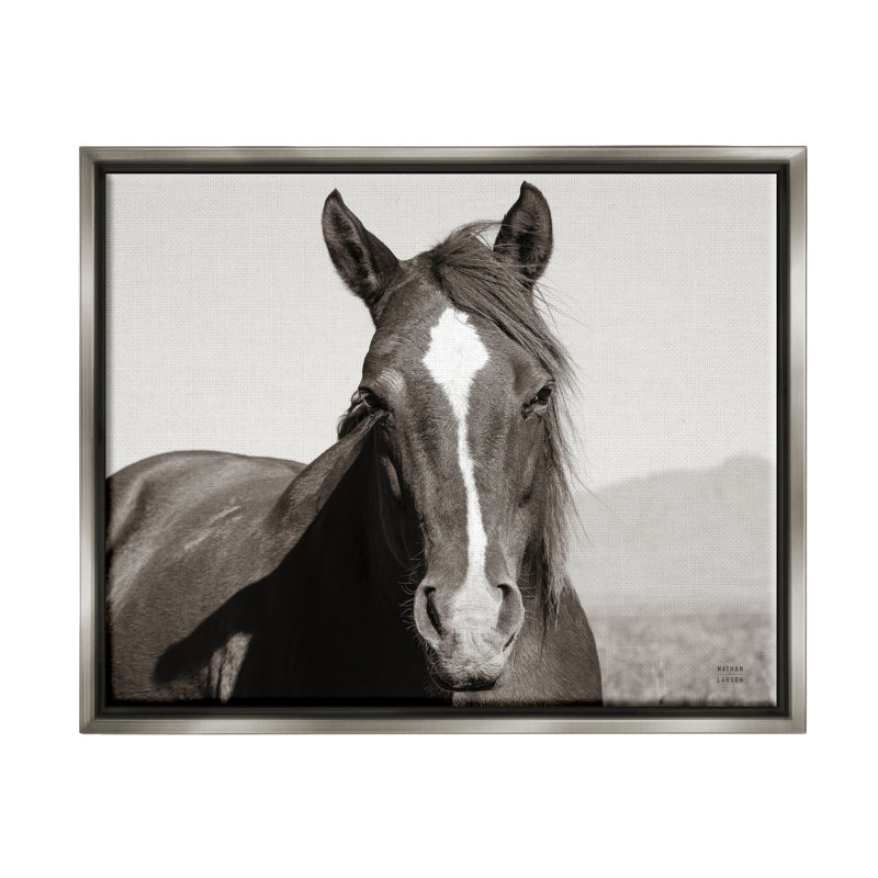 «Millwood Pines Windblown Stallion Portrait», art mural encadré par Nathan Larson, H 17 po x l 21 po x P 1,7 po