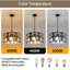 Bedneau Chandelier