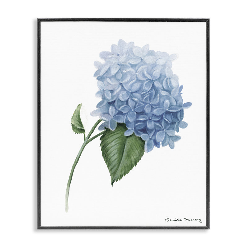 Hydrangea Stem In Bloom Framed Giclee, design by Danielle Murray, 14" H x 11" W, Midnight Black Framed Giclee