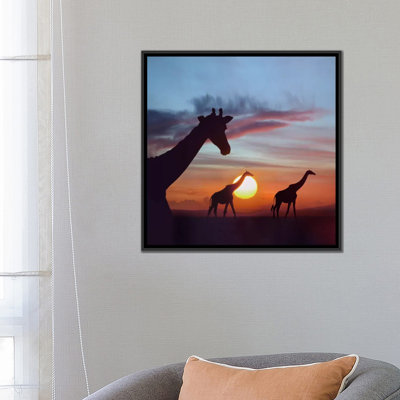 Masai Giraffe Trio at Sunrise, Masai Mara, Kenya, image composite par Tim Fitzharris - reproduction sur toile tendue sur toile tendue avec châssis