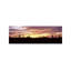 Silhouette of Saguaro Cacti (Carnegiea Gigantea) on a Landscape, Saguaro National Park, Tucson, Pima County, Arizona, USA 1 Piece Panoramic Wall Art on Canvas-1526585885