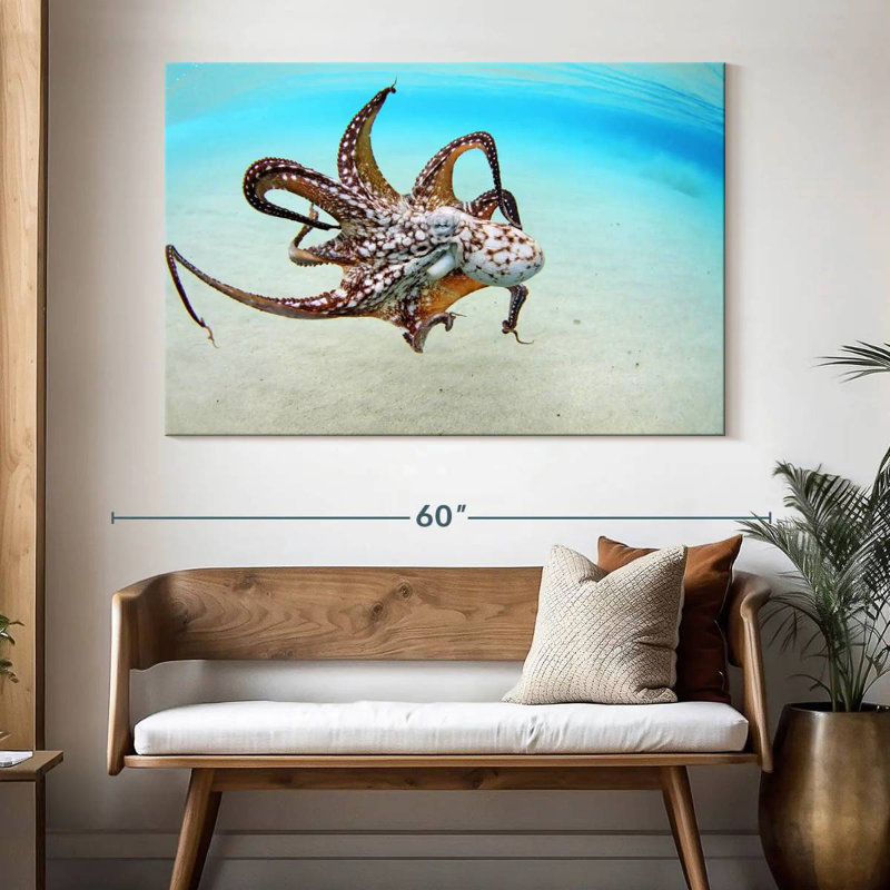 Brampt Wild Ocean Octopus, 34" H x 51" W