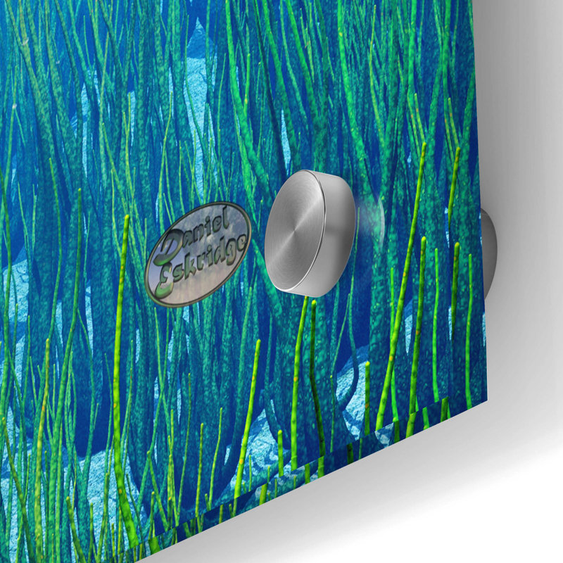 On Plastic/Acrylic Print, 36" H x 24" W x 0.2" D