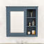 Armoire à pharmacie murale élégante avec tablettes et miroir-448845040-448845041