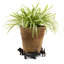 Mairead Weather Resistant Planter Feet
