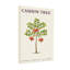 Plantes et fleurs de cajou-871886186