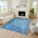 Machine Washable Indoor/Outdoor Derrick ACN2224 Floral Rug