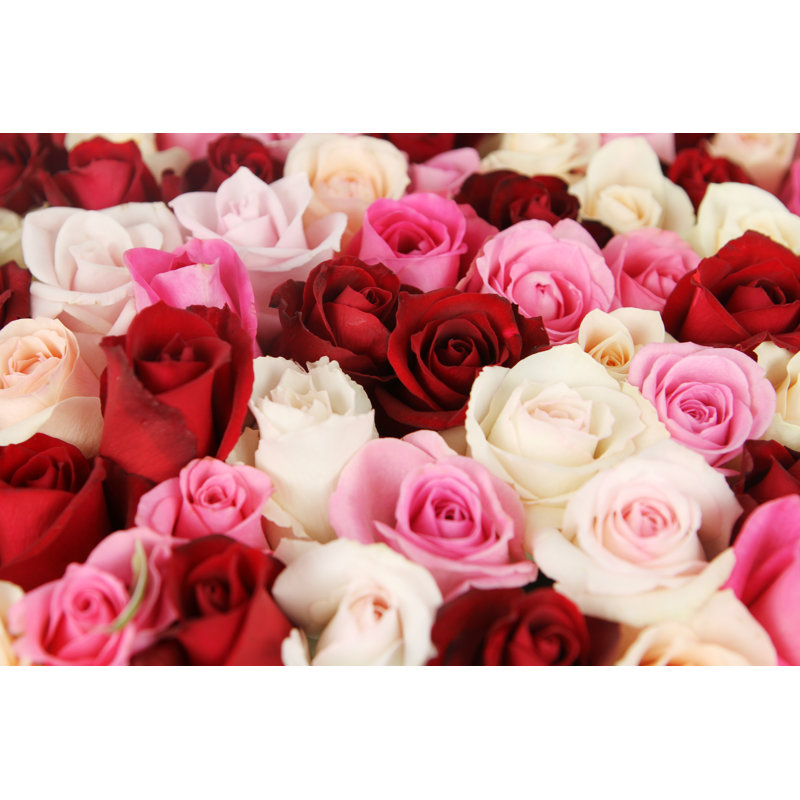Belles roses par Hidesy, H 12 po x l 18 po