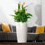 Rondo Pot Planter-29387138-29387142
