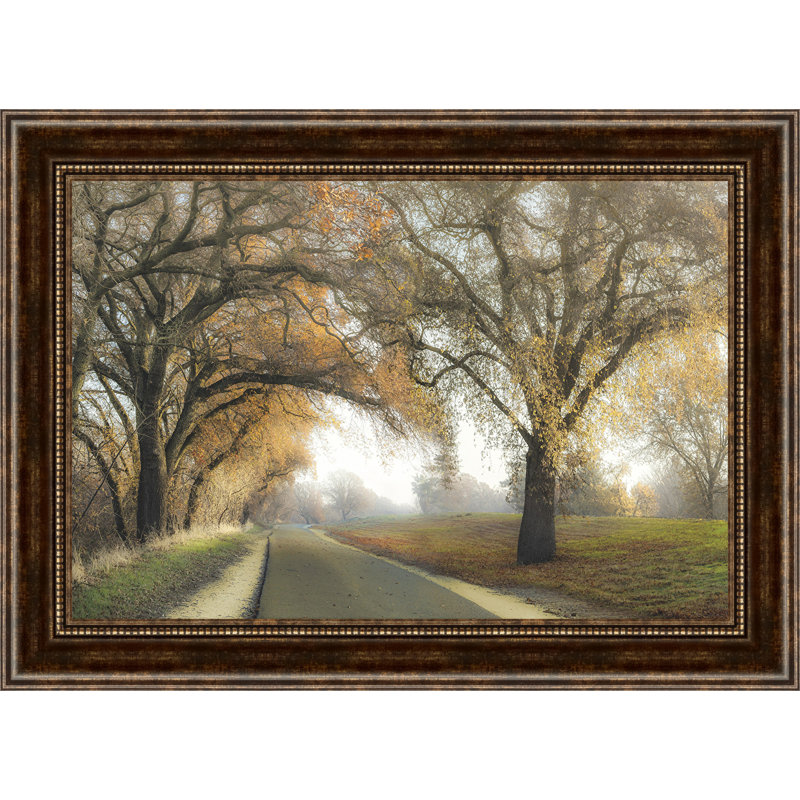 " Gentle Morning "
