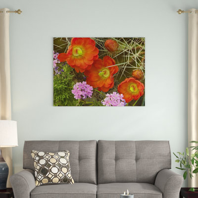 " Claret Cup Cactus And Verbena Detail Of Flowers In Bloom North America " by Tim Fitzharris