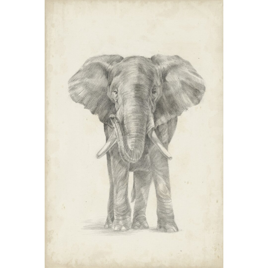 Leinwandbild Elephant Sketch II von Ethan Harper