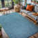 Aqua Blue Indoor/Outdoor Rug