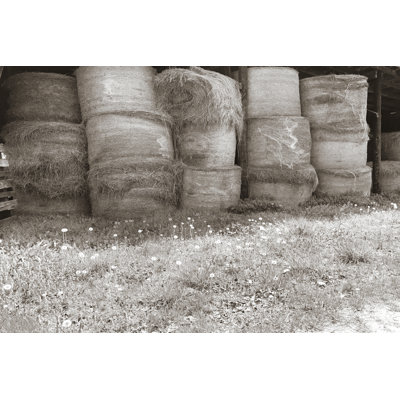Sepia Farm Study V - Wrapped Canvas Print