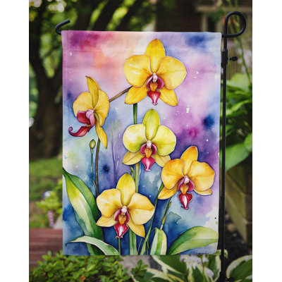 Orchidées paphiopedilum, drapeau du jardin