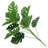6.38'' Monstera Plant-556559563