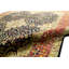 Floral Area Rug in Black/Rust