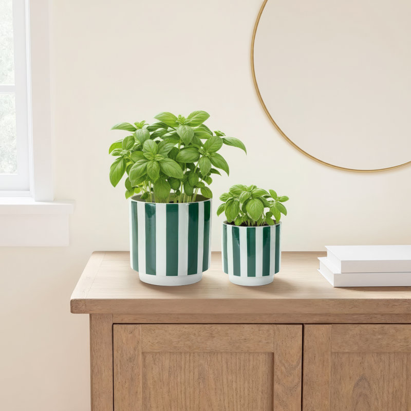 Koregan Ceramic Pot Planter