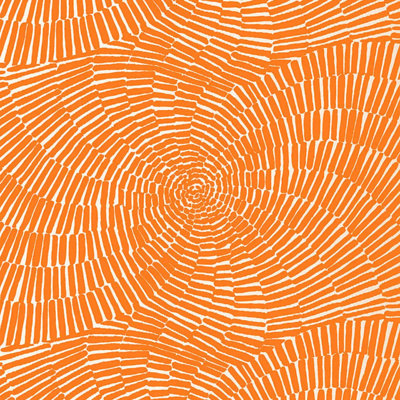 Sonriza Print Indoor/Outdoor Fabric