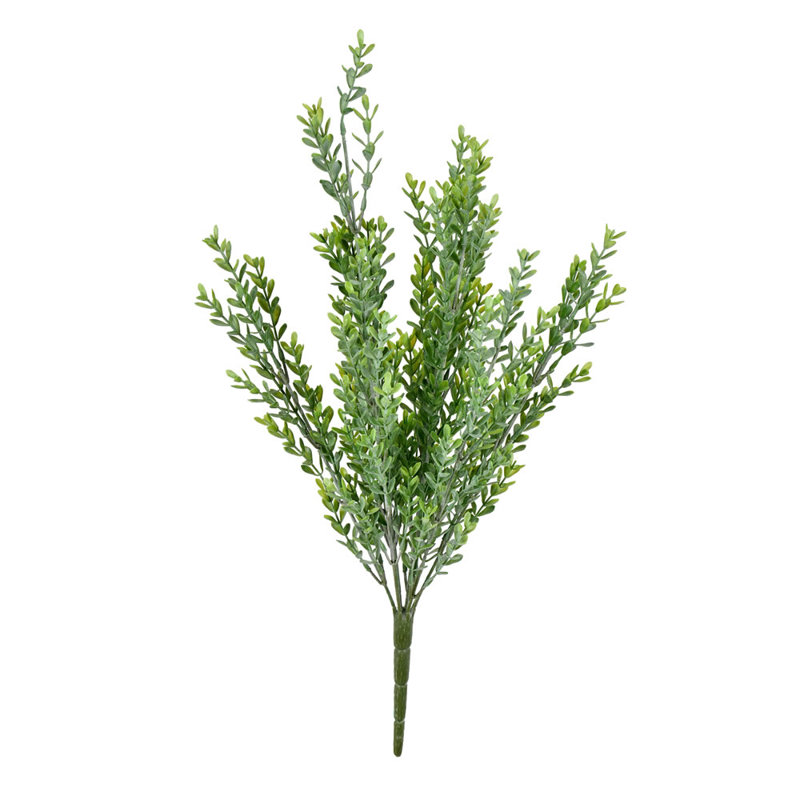 Buisson de criquet