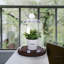Addysin 7" Glass Decorative Cloche Dome Jars with Wood Base