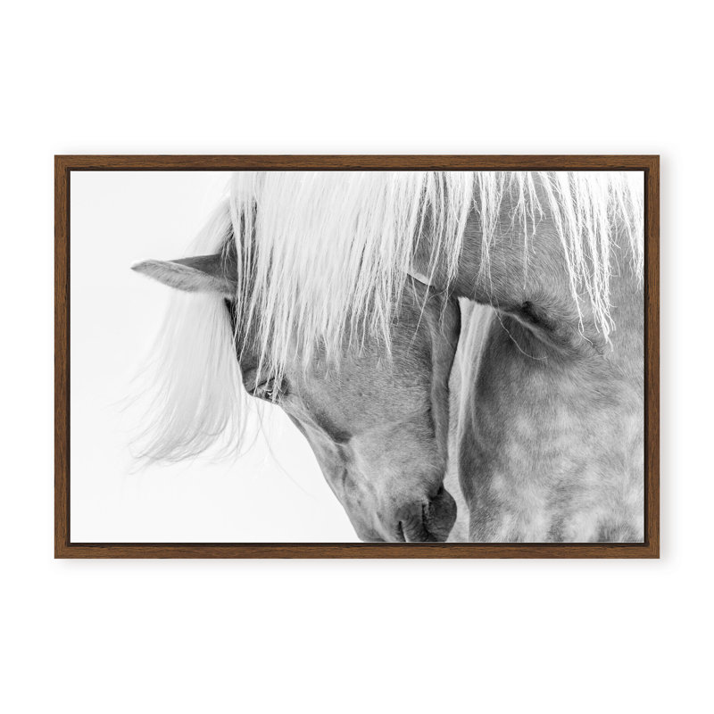Nature Inspired Halflinger Portrait by  - Picture Frame Photograph on Paper, 24" H x 36" W x 1.125" D, Black