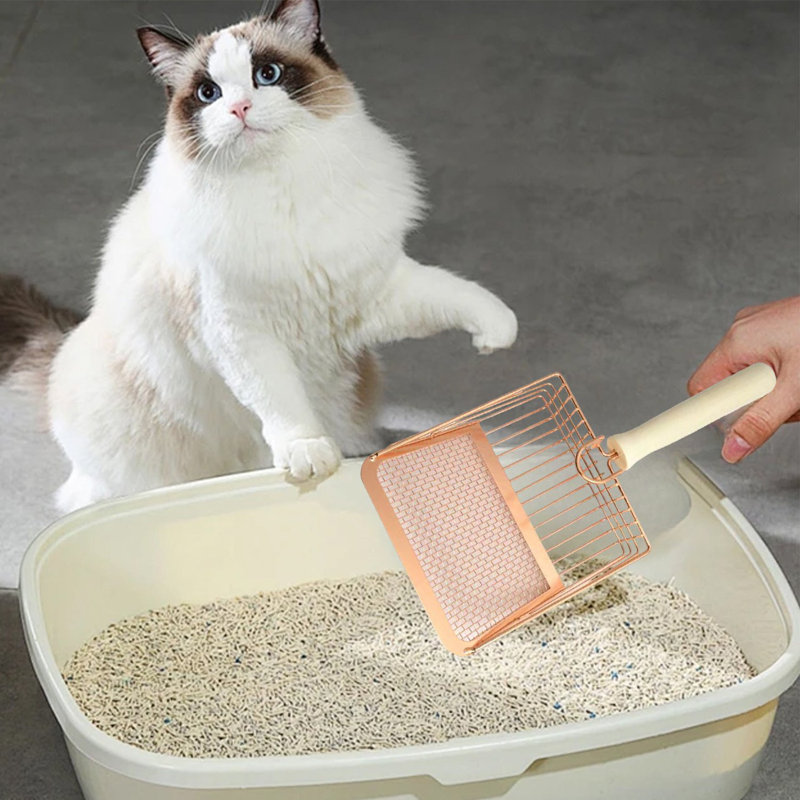 Litière pour chat avec pelle en métal avec poignée en bois, Or rose