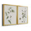 Toile encadrée de qualité supérieure Wispy Botanical I - prête à être accrochée-1622420742-1622420794