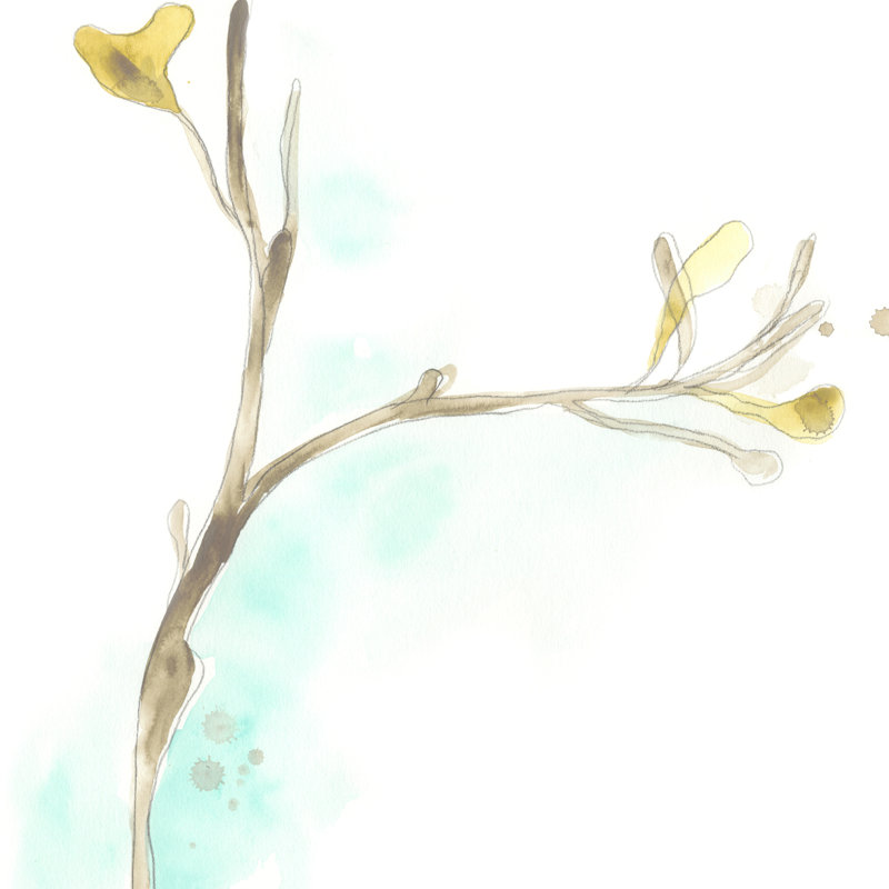 Teal And Ochre Ginko IV by June Erica Vess - Wrapped Canvas Painting, 122cm H x 122cm W