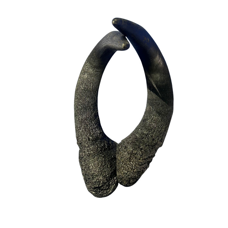 Real Black Wildebeest Horn Set, Dark Brown