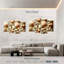 Aletra divers coquillages-108848616