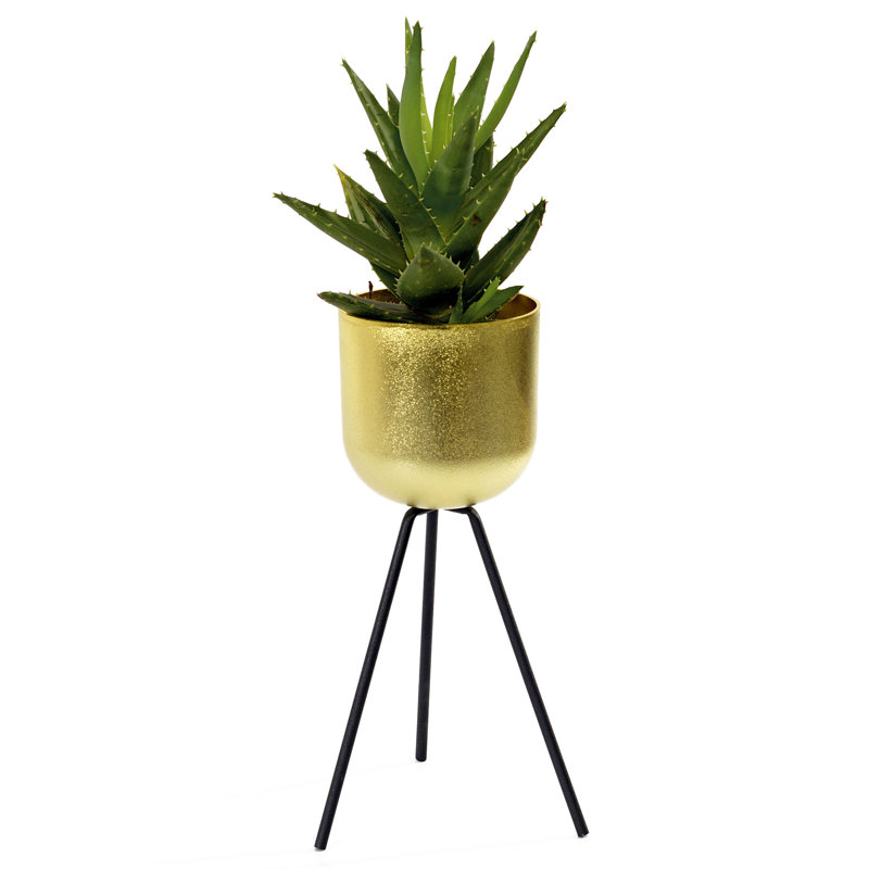 Pot à fleurs en plastique trépied Wehr, H 4,5 po x l 4,5 po x P 4,5 po