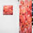 Ariella - Coral Ranunculus Radiant Beauties - Ranunculus Curtain - Velvet Room Darkening - 1 panel-1763224983