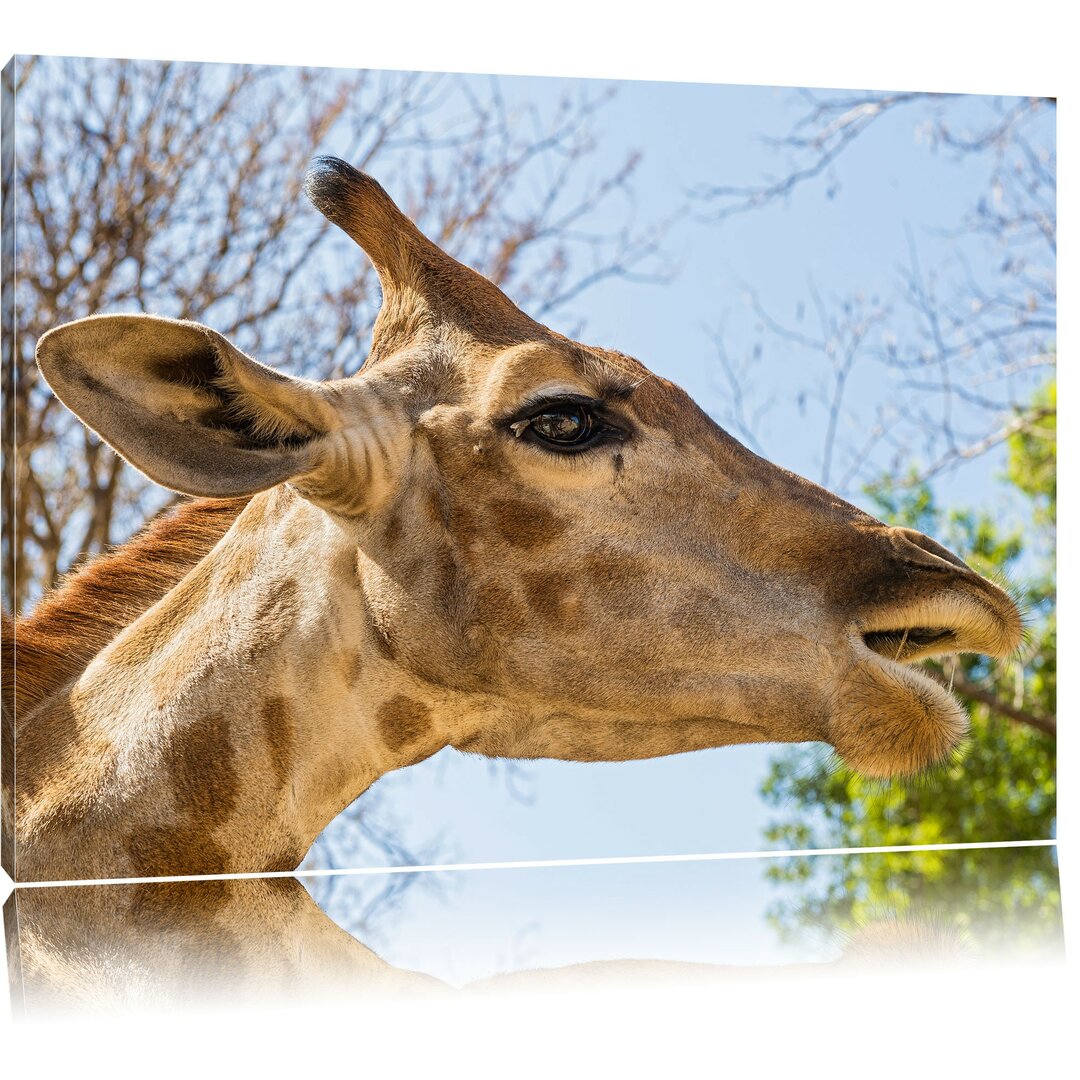 Leinwandbild Anmutige Giraffe isst