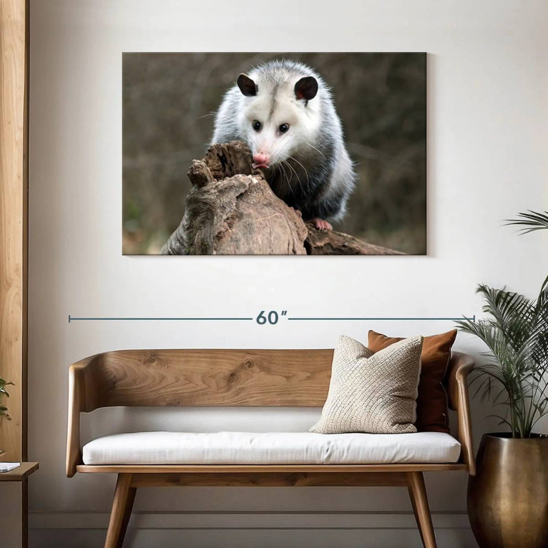 Bramble opossum, H 30 po x l 45 po