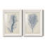 Indigo Coral-1687557489-1687557486-1687523540