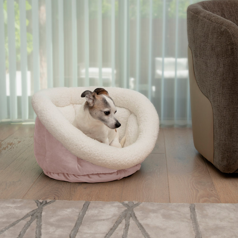Tasse pour chien Tucker Murphy Pet ™, Rose poudré, H 14 po x l 24 po x P 24 po