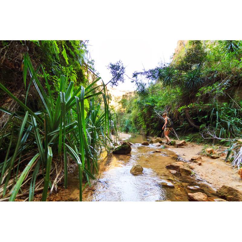 Canyon Hike In Isalo - Wrapped Canvas Print, 51cm H x 76cm W x 3.8cm D